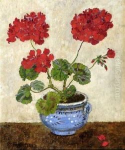 Geranium Dans Un Pot