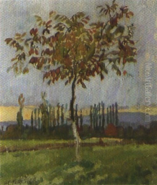 Herbstlandschaft Mit Jungem Baum - view 1