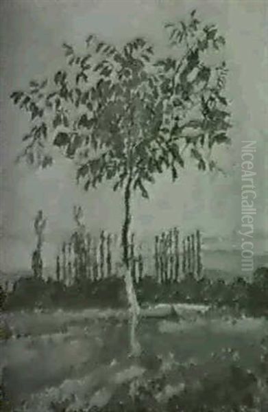 Herbstlich Gefarbter Baum In Weiter Ebene - view 1