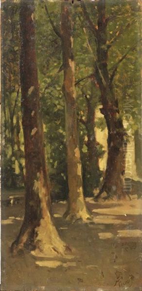 Nel Parco - view 1