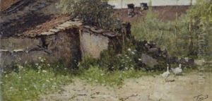 Cascina Di Campagna