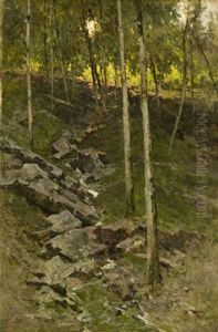 Veduta Boschiva Con Ruscello