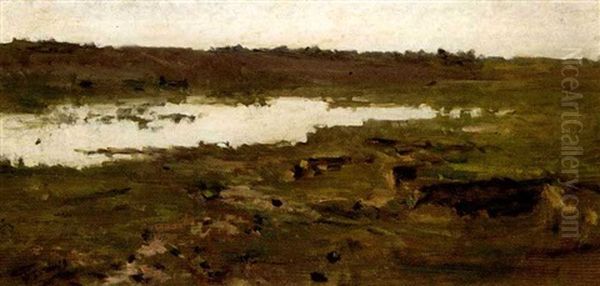 Stagno - view 1