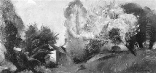 Wiesenlandschaft Mit Haus Zwischen Baumen - view 1