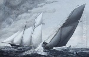 Yachts Maneuvering Before The Race by Haughton Forrest