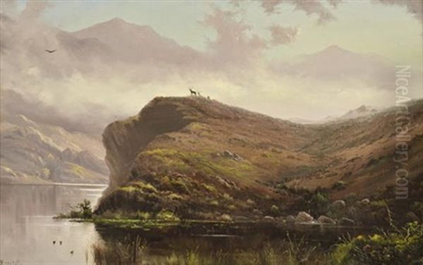 Loch Duich, Scotland - view 1