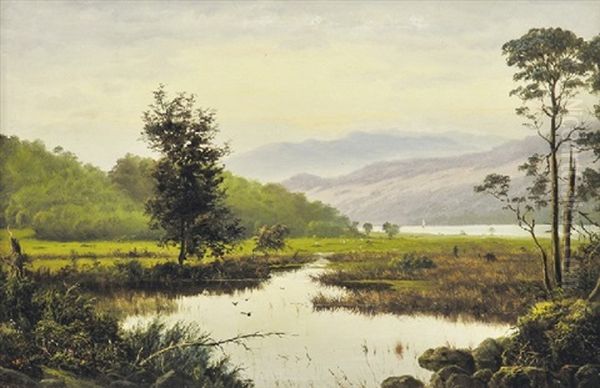River Scene, Tasmania - view 1