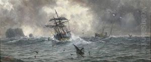 Shipwreck Shipwreck