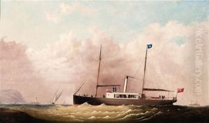 Ss. Huon Of The Iron Pot, Tasmania