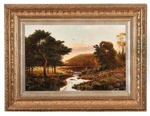 Tasmanian Landscape With River