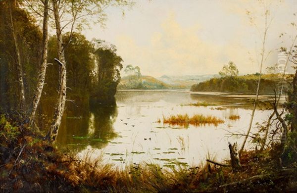 Untitled (view Of Lake St. Clair, Tasmania) - view 1