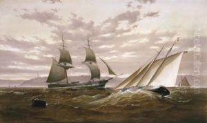 Top Sail Schooner And Sailing Yacht by James Haughton Forrest