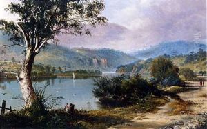 Tasmanian Landscape