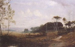 Landscape Landscape