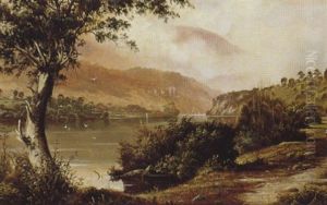 Derwent River, New Norfolk, Tasmania