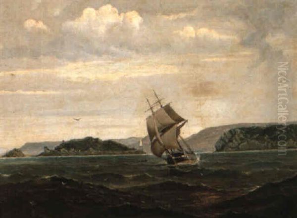 Devil's Gateway, Entrance To Macquarie Harbour - view 1