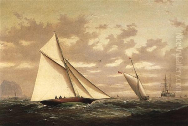 The Yacht Race - view 1
