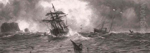 Shipwrecked - view 1