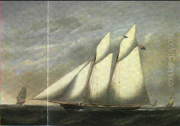 The Royal Northern Yacht Club's Schooner 'ethel' - view 1