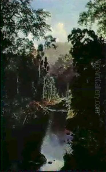 Fallen Trees Across The River - view 1