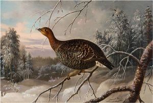 Female Black Grouse (after Ferdinand Von Wright)