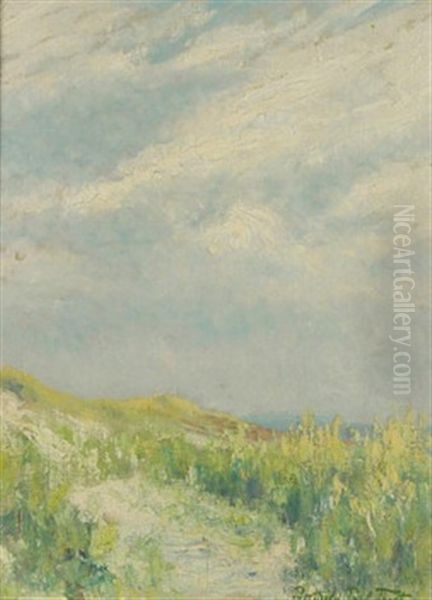Dunenlandschaft Bei Aufziehendem Regen (hiddensee?) - view 1