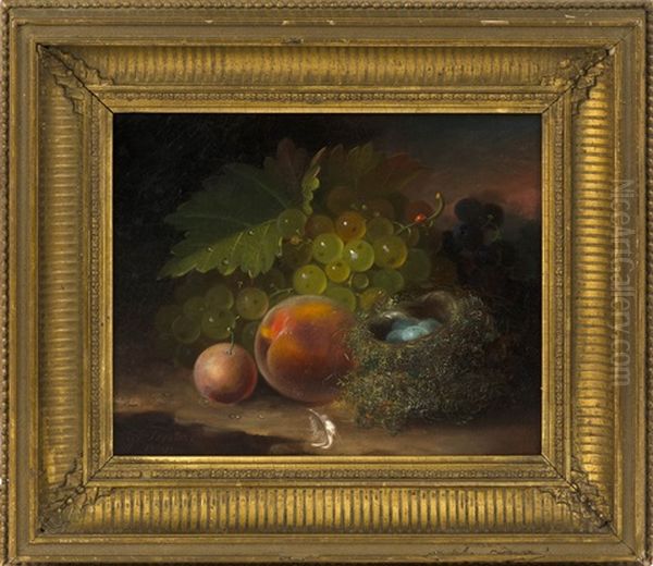 Still Life Of Fruit, A Bird's Nest With Eggs, And A Ladybug - view 1