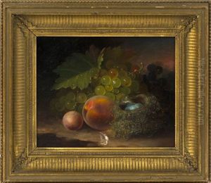 Still Life Of Fruit, A Bird's Nest With Eggs, And A Ladybug by George Forster