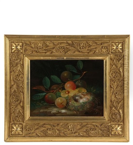 Still Life With Bird's Nest And Fruit - view 1
