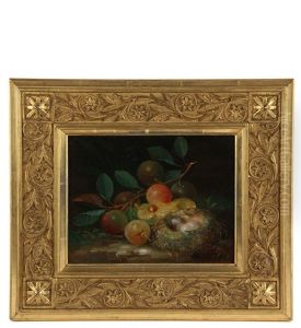 Still Life With Bird's Nest And Fruit Still Life With Bird's Nest And Fruit