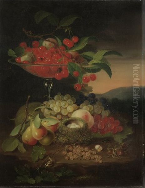 Stilleben Mit Fruchten, Vogelnest, Nussen, Insekten Und Schnecke - view 1