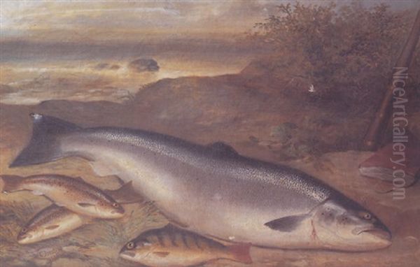 Still Life Of Fish - view 1