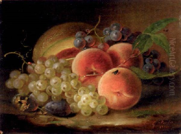 Peaches, Grapes And Melon - view 1