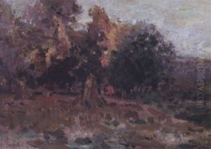 Evening Light