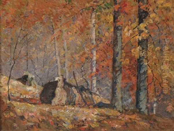 Sunlight In The Woods - view 1