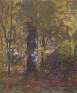 The Sycamore Tree