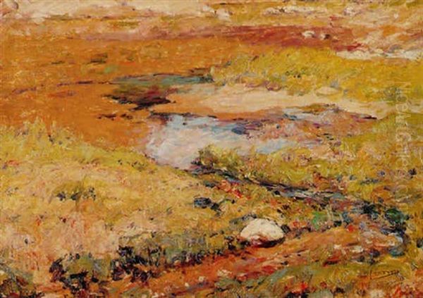 Stream And Rock - view 1