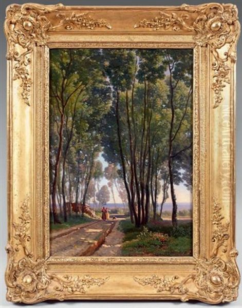 Allee Dans Un Sous-bois - view 1