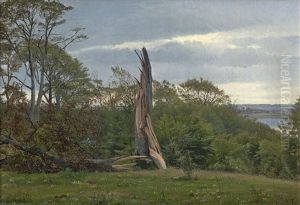 Danische Seenlandschaft Mit Umgesturtztem Baum