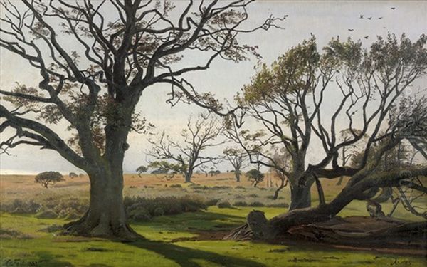 Weite Baumlandschaft Im Fruhjahr - view 1
