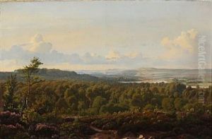 Landscape From Himmelbjerget In Denmark