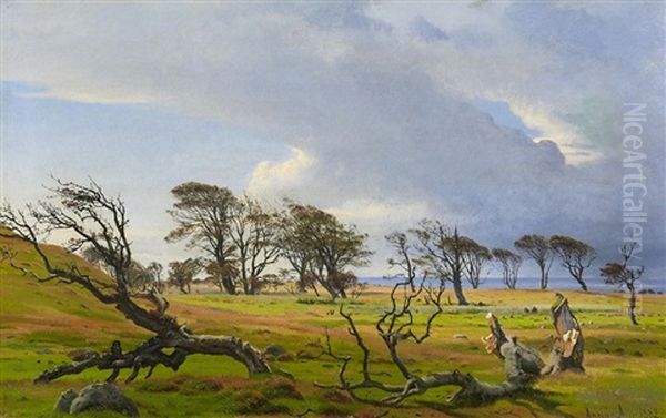 Kustenlandschaft Bei Asnaes In Danemark - view 1