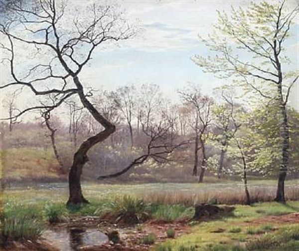 Landscape With Tall Trees - view 1
