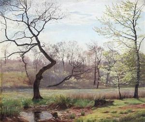 Landscape With Tall Trees