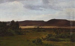 Hilly Landscape At Fussingo, Randers Hilly Landscape At Fussingo, Randers