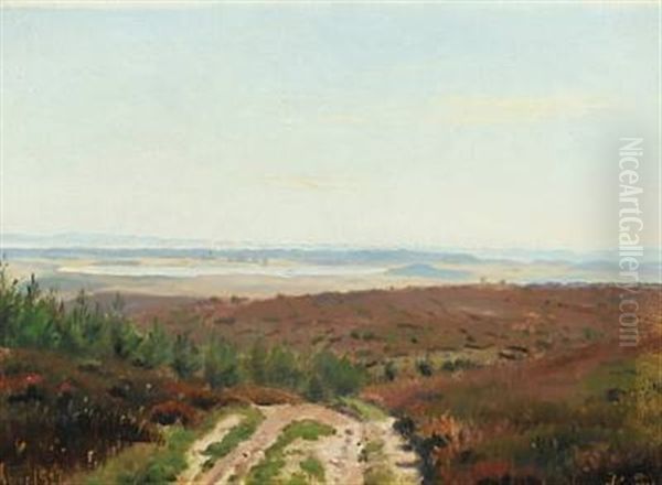 The Heath - view 1