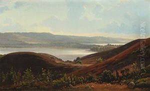 Landscape From Salten Langso Landscape From Salten Langso