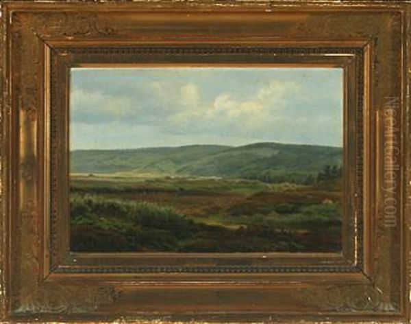 View From Svinklov - view 1