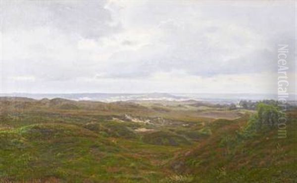 Coastal Scenery At Svinklov - view 1