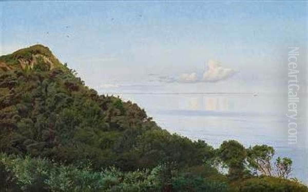 Ud Over Kallundborg Fjord Og Asnaes - view 1